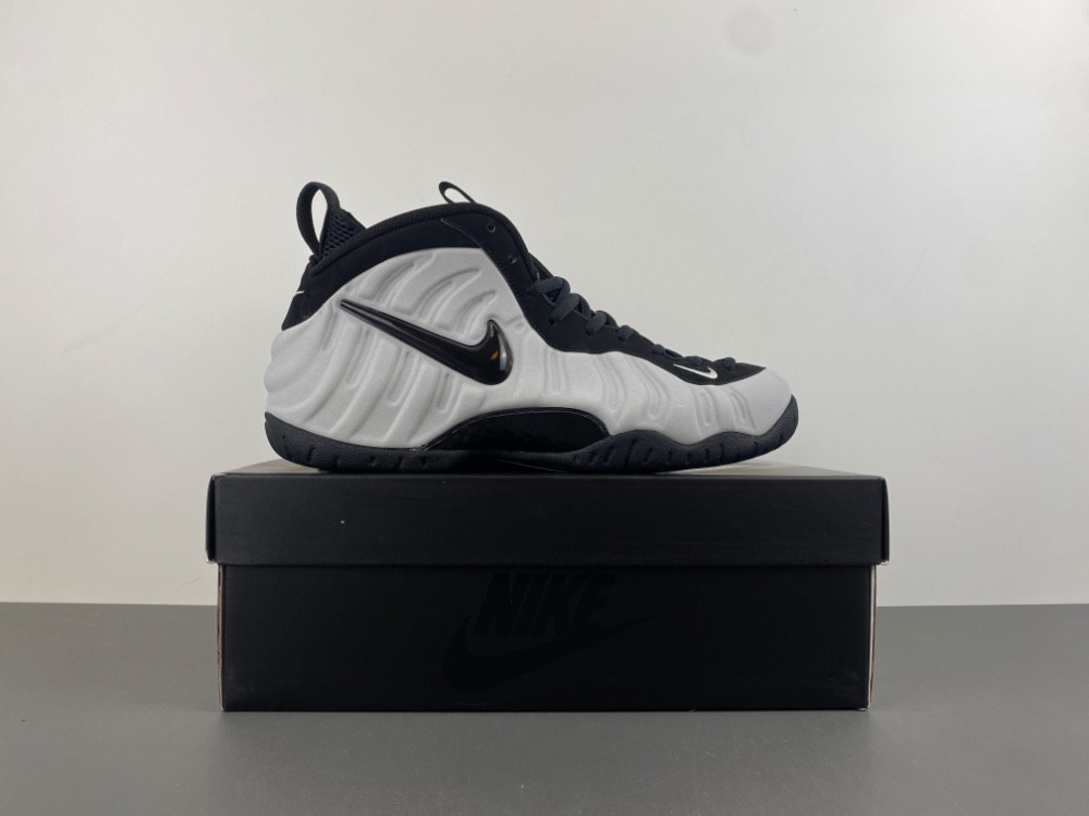Nike Air Foamposite Pro "Wolf Grey" HF0794-001
